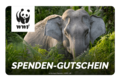 WWF Gutschein: Elefant im Gras mit WWF-Logo oben links und dem Text 'SPENDEN-GUTSCHEIN'