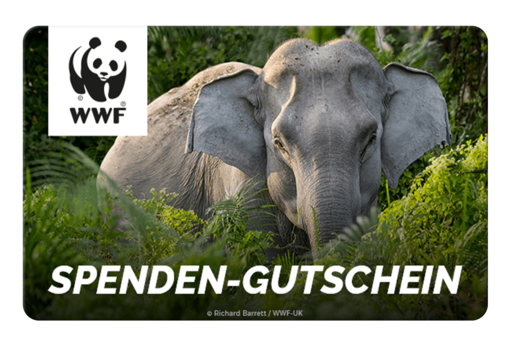 WWF Gutschein: Elefant im Gras mit WWF-Logo oben links und dem Text 'SPENDEN-GUTSCHEIN'