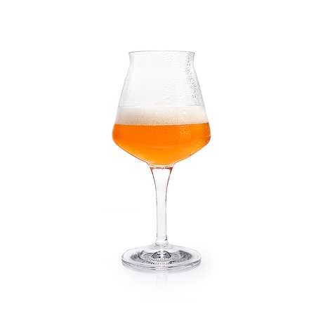Krombacher Sommelierglas gefüllt Bier vor weißem Hintergrund.
