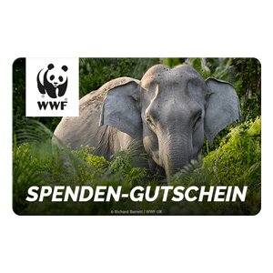 WWF Gutscheinkarte mit zwei asiatischen Elefanten im dichten Grün, WWF-Logo oben links, Text 'SPENDEN-GUTSCHEIN' unten. WWF Gutscheinkarte mit zwei asiatischen Elefanten im dichten Grün, WWF-Logo oben links, Text 'SPENDEN-GUTSCHEIN' unten.