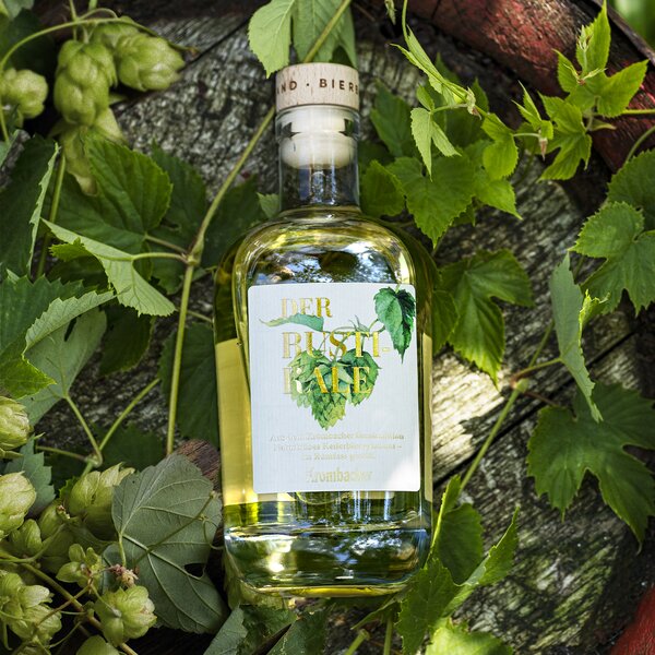 Flasche Krombacher Bierbrand 'Der Rustikale' umgeben von Hopfenpflanzen auf Holzuntergrund.
